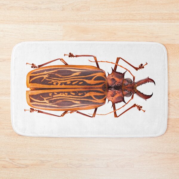 Item preview, Saber-tooth Longhorn beetle (Macrodontia cervicornis) designed and sold by Tim Christensen.