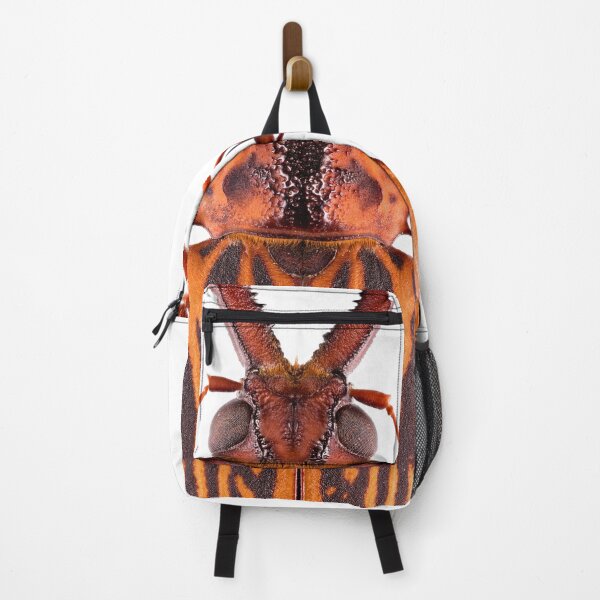Item preview, Saber-tooth Longhorn beetle (Macrodontia cervicornis) designed and sold by Tim Christensen.