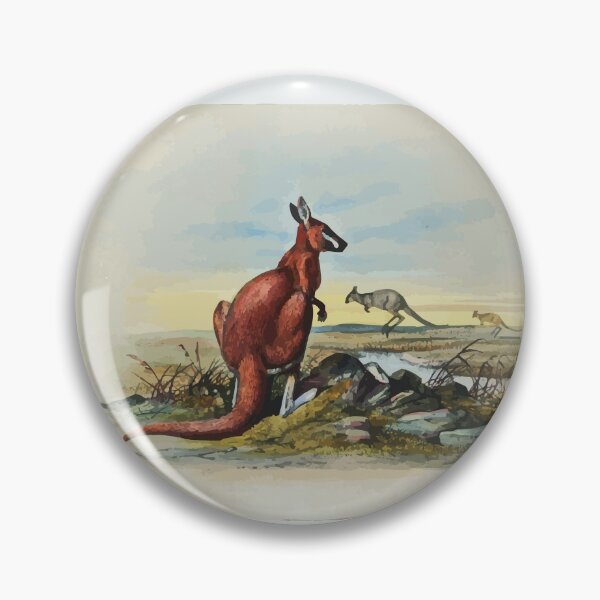 Item preview, Zoological sketches by Joseph Wolf 1861 to 1867 076 The Red Kangaroo designed and sold by WetdryvacRB01.