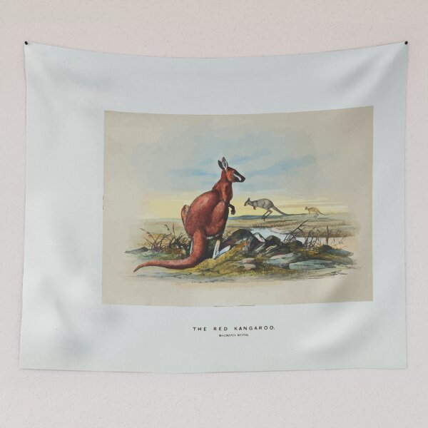 Item preview, Zoological sketches by Joseph Wolf 1861 to 1867 076 The Red Kangaroo designed and sold by WetdryvacRB01.