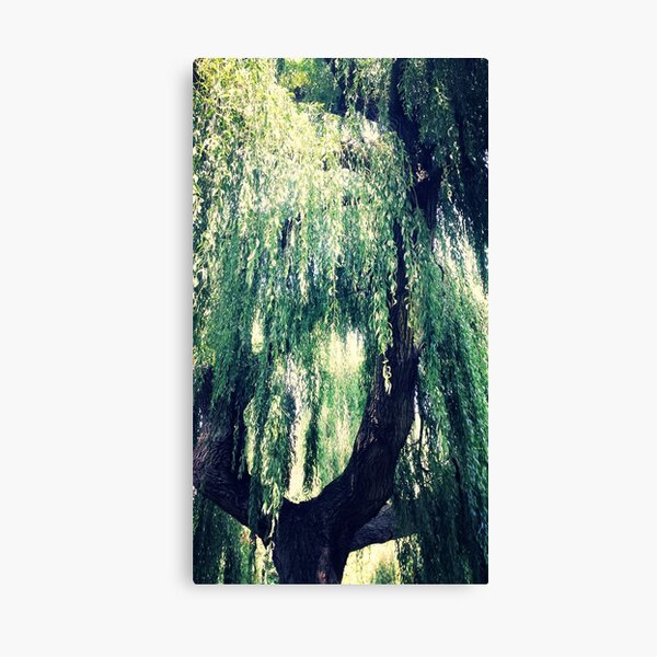 Item preview, willow tree designed and sold by FreyaCariad97.