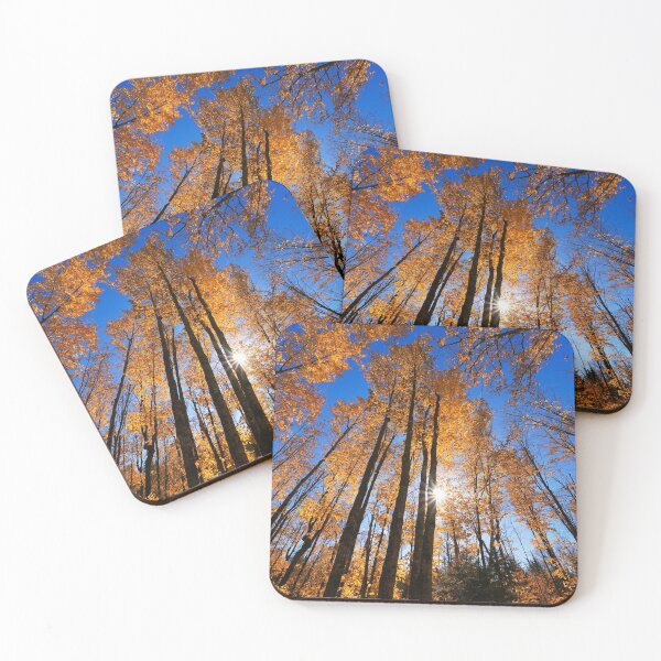 Item preview, "Sparkling Through Autumn Trees"  designed and sold by RCNaturephotos.