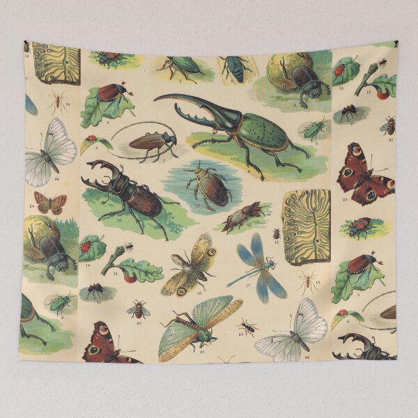 Item preview, beetles, beetle, butterflies, stag beetle, dragonflies, dragonfly, antique print of natural history, 1890 designed and sold by TigrisOldprints.