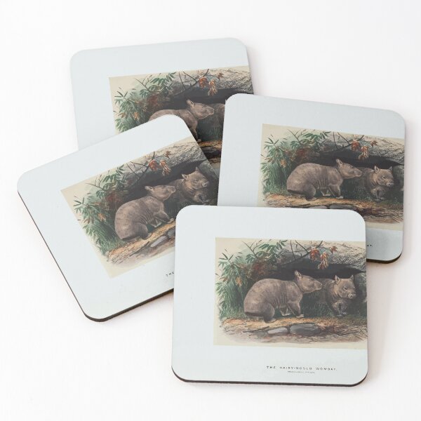 Item preview, Zoological sketches by Joseph Wolf 1861 to 1867 077 The Hairy Nosed Wombat designed and sold by WetdryvacRB01.