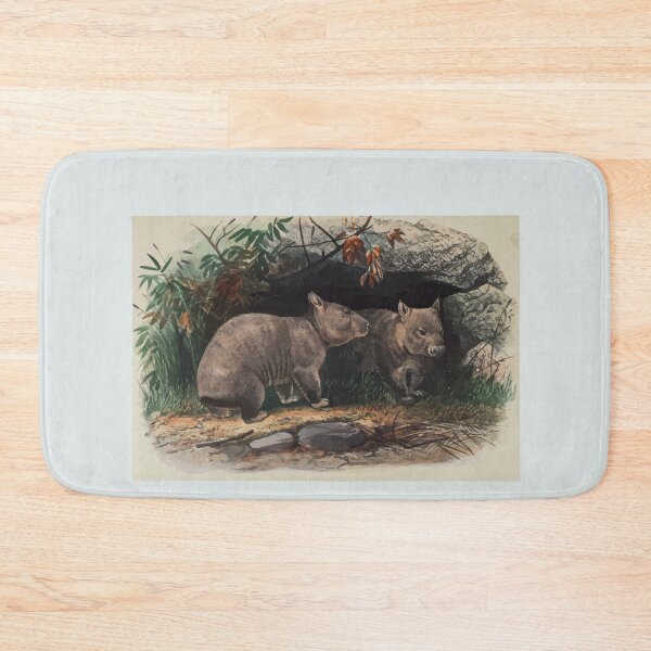 Item preview, Zoological sketches by Joseph Wolf 1861 to 1867 077 The Hairy Nosed Wombat designed and sold by WetdryvacRB01.