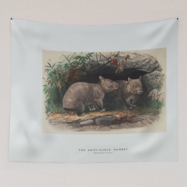Item preview, Zoological sketches by Joseph Wolf 1861 to 1867 077 The Hairy Nosed Wombat designed and sold by WetdryvacRB01.
