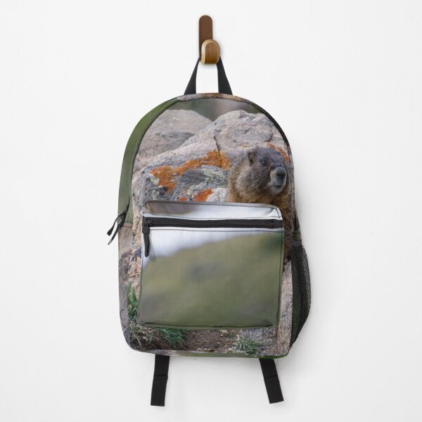 Item preview, Marmot on Rock 2 designed and sold by photosbyalexis.