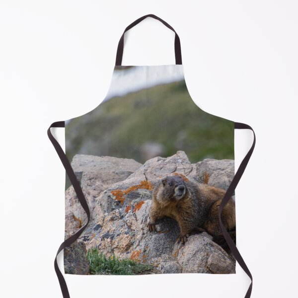 Item preview, Marmot on Rock 2 designed and sold by photosbyalexis.