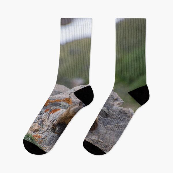 Item preview, Marmot on Rock 2 designed and sold by photosbyalexis.