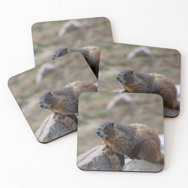 Item preview, Marmot on Rock 3 designed and sold by photosbyalexis.
