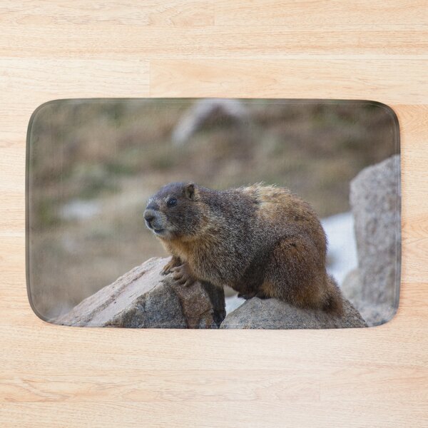 Item preview, Marmot on Rock 3 designed and sold by photosbyalexis.