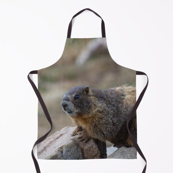 Item preview, Marmot on Rock 3 designed and sold by photosbyalexis.