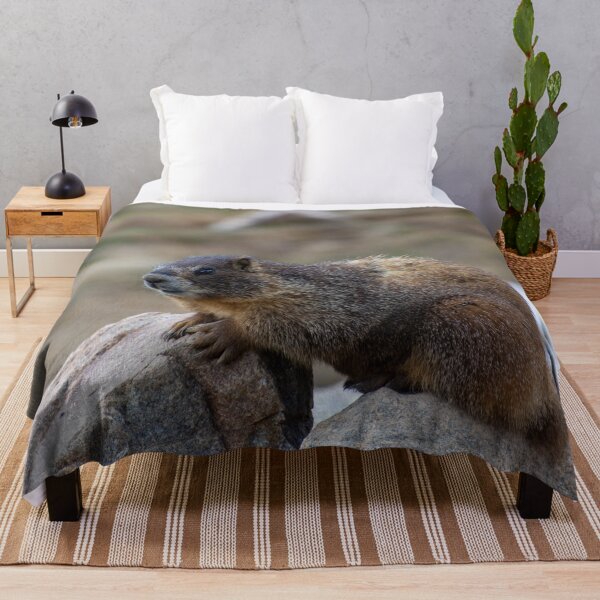 Item preview, Marmot on Rock 3 designed and sold by photosbyalexis.