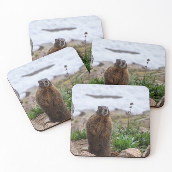 Item preview, Standing Marmot designed and sold by photosbyalexis.