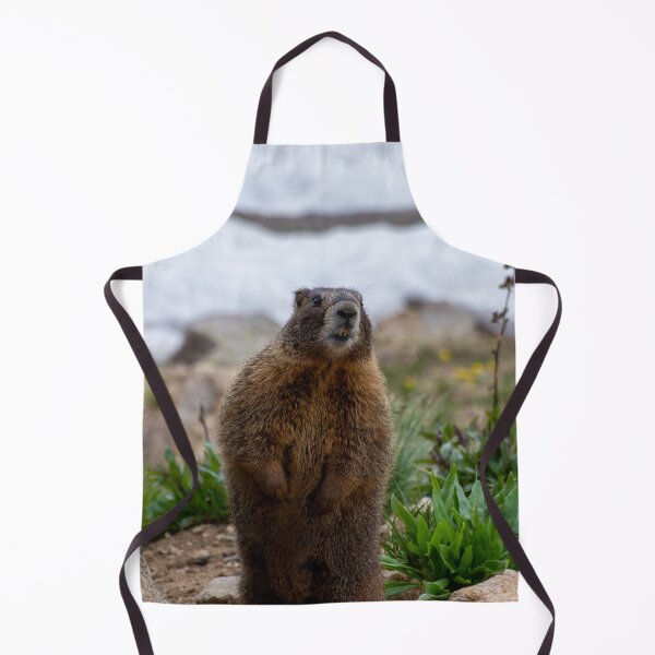 Item preview, Standing Marmot designed and sold by photosbyalexis.