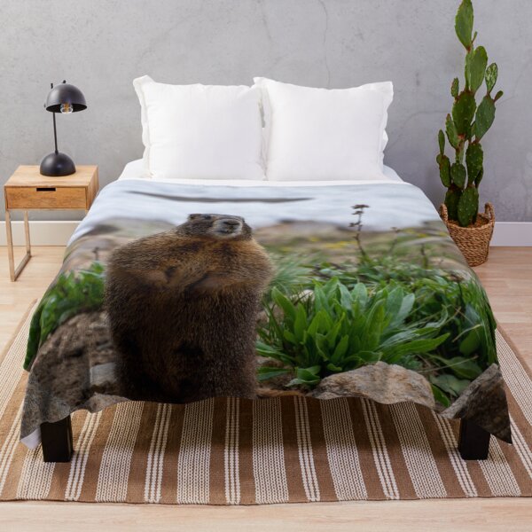 Item preview, Standing Marmot designed and sold by photosbyalexis.
