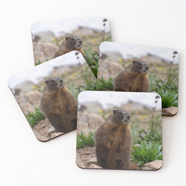 Item preview, Standing Marmot 2 designed and sold by photosbyalexis.