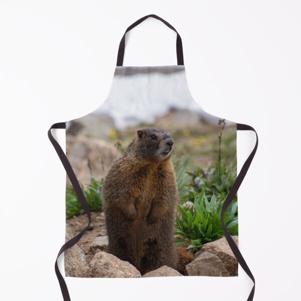Item preview, Standing Marmot 2 designed and sold by photosbyalexis.