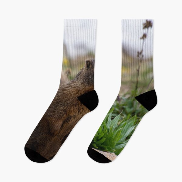Item preview, Standing Marmot 2 designed and sold by photosbyalexis.