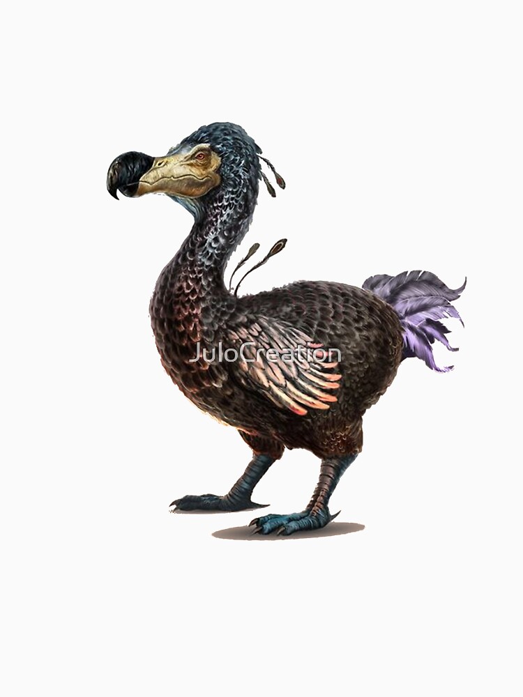 ark dodo tame ark dodo tame