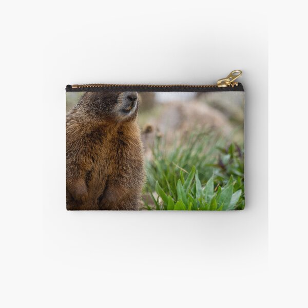 Item preview, Standing Marmot 3 designed and sold by photosbyalexis.