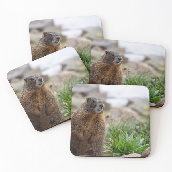 Item preview, Standing Marmot 3 designed and sold by photosbyalexis.