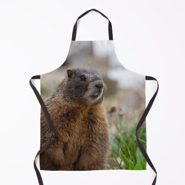 Item preview, Standing Marmot 3 designed and sold by photosbyalexis.
