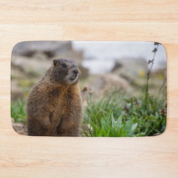 Item preview, Standing Marmot 3 designed and sold by photosbyalexis.