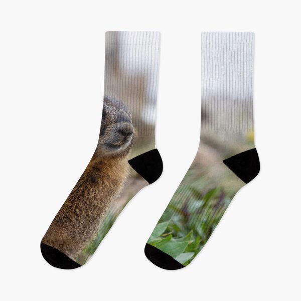Item preview, Standing Marmot 3 designed and sold by photosbyalexis.