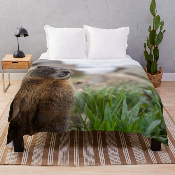 Item preview, Standing Marmot 3 designed and sold by photosbyalexis.