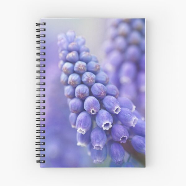 Item preview, Muscari designed and sold by MaCross.
