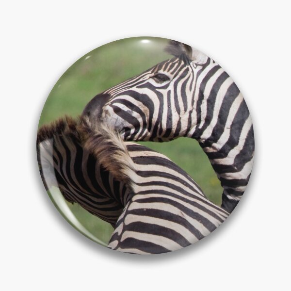 Item preview, Playing zebras in South Africa designed and sold by Melissa Peltenburg.