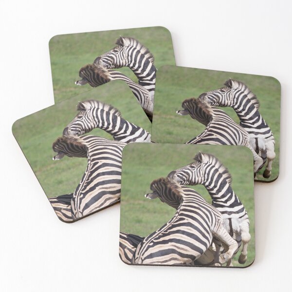 Item preview, Playing zebras in South Africa designed and sold by Melissa Peltenburg.