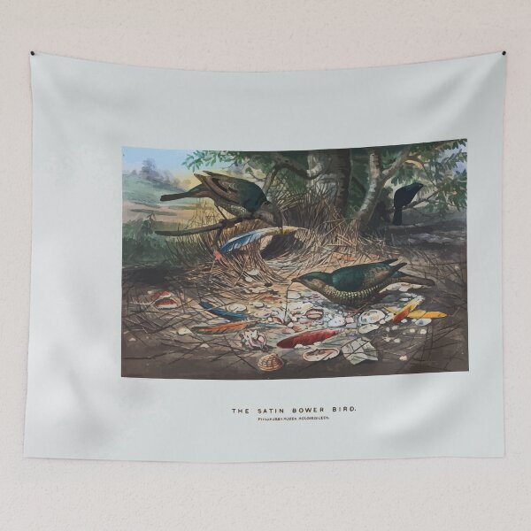 Item preview, Zoological sketches by Joseph Wolf 1861 to 1867 078 The Satin Bower Bird designed and sold by WetdryvacRB01.