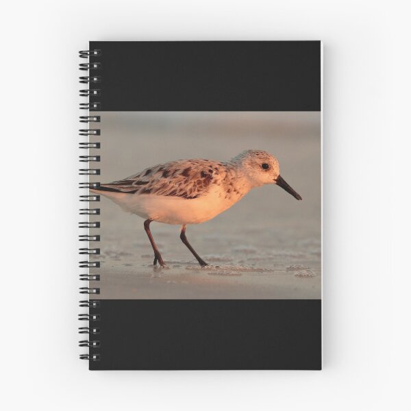 Item preview, Sandpiper Portrait designed and sold by WorldDesign.
