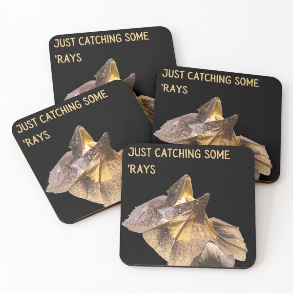 Item preview, Just catching some 'rays. Photograph of a frill necked lizard and light colour text. designed and sold by JellyBeenzz.