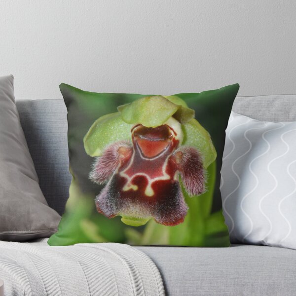 Item preview, Cyprus Wild Orchid Ophrys Flavomarginata designed and sold by TheTwinBros.