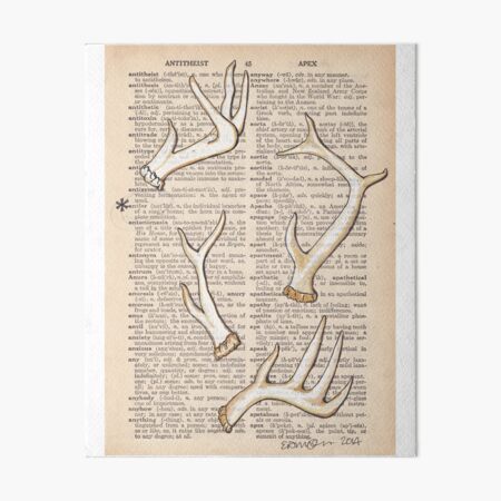 Adorable Antlers Art Board Print