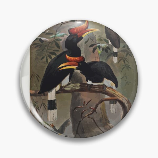 Artikelvorschau, Zoologische Skizzen von Joseph Wolf 1861 bis 1867 079 Der konkave Vasqued Hornbill entworfen und verkauft von WetdryvacRB01.