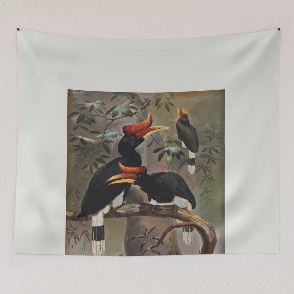 Item preview, Zoological sketches by Joseph Wolf 1861 to 1867 079 The Concave Vasqued Hornbill designed and sold by WetdryvacRB01.