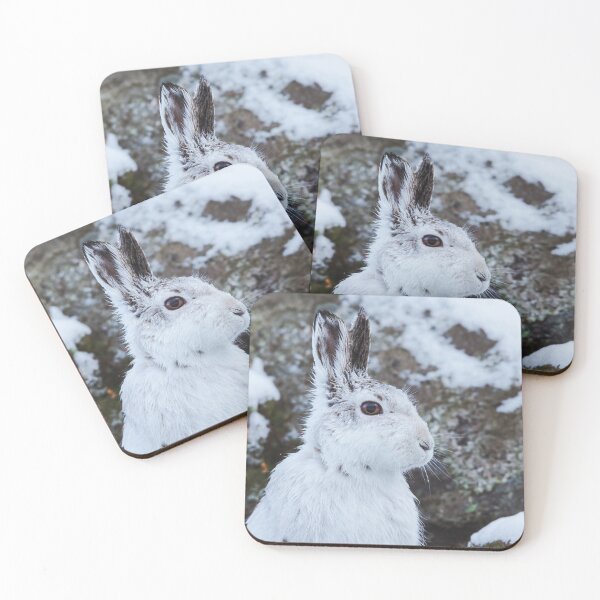 Item preview, Young Scottish Mountain Hare in white winter coat designed and sold by PawsomePrints.