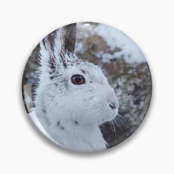Item preview, Young Scottish Mountain Hare in white winter coat designed and sold by PawsomePrints.