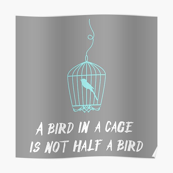 Bolsa De Mano Para Amantes De Las Aves, Bolsa De Mano Para
