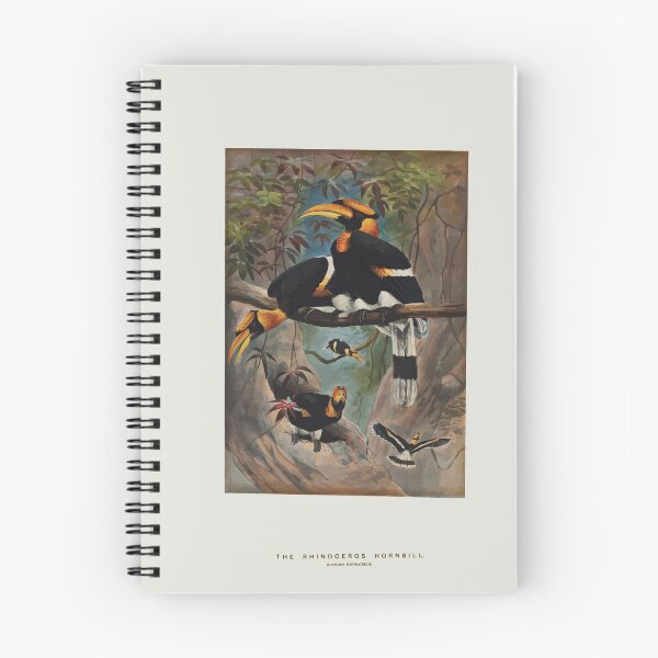 Item preview, Zoological sketches by Joseph Wolf 1861 to 1867 080 The Rhinoceros Hornbill designed and sold by WetdryvacRB01.