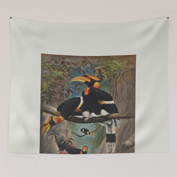 Item preview, Zoological sketches by Joseph Wolf 1861 to 1867 080 The Rhinoceros Hornbill designed and sold by WetdryvacRB01.