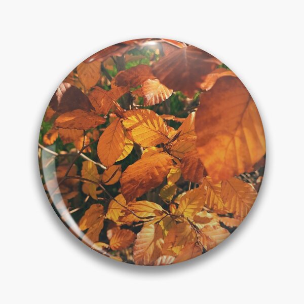 Item preview, Autumn leaves in the sun - The colors of autumn - Photography designed and sold by greatnorris.
