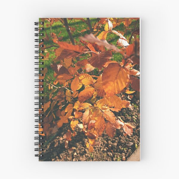 Item preview, Autumn leaves in the sun - The colors of autumn - Photography designed and sold by greatnorris.