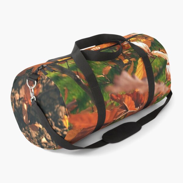 Item preview, Autumn leaves in the sun - The colors of autumn - Photography designed and sold by greatnorris.