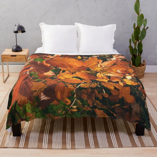 Item preview, Autumn leaves in the sun - The colors of autumn - Photography designed and sold by greatnorris.