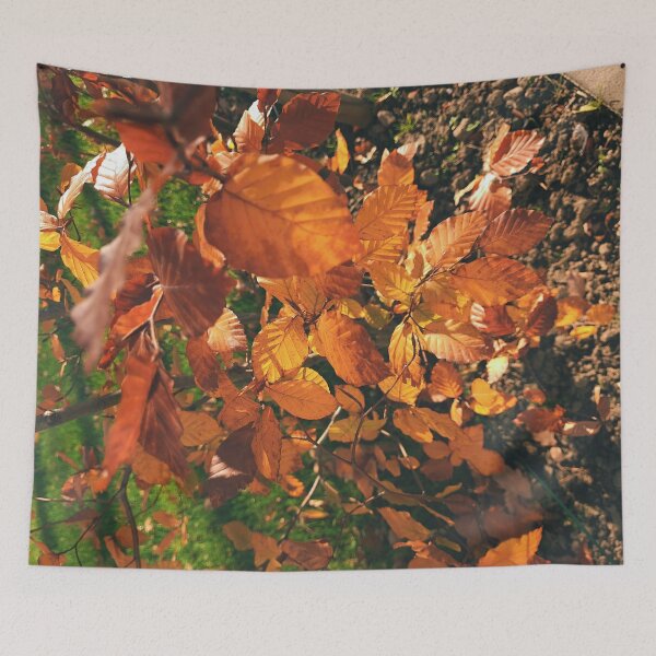 Item preview, Autumn leaves in the sun - The colors of autumn - Photography designed and sold by greatnorris.